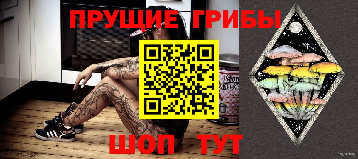 Галлюциногенные грибы Psilocybe  наркота  Выкса  Вход с VPN  Псилоцибиновые грибы MAGIC MUSHROOMS 